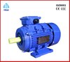 Aluminum 3 Phase AC Asynchronous Motor