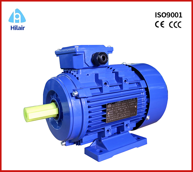 Aluminum 3 Phase AC Asynchronous Motor
