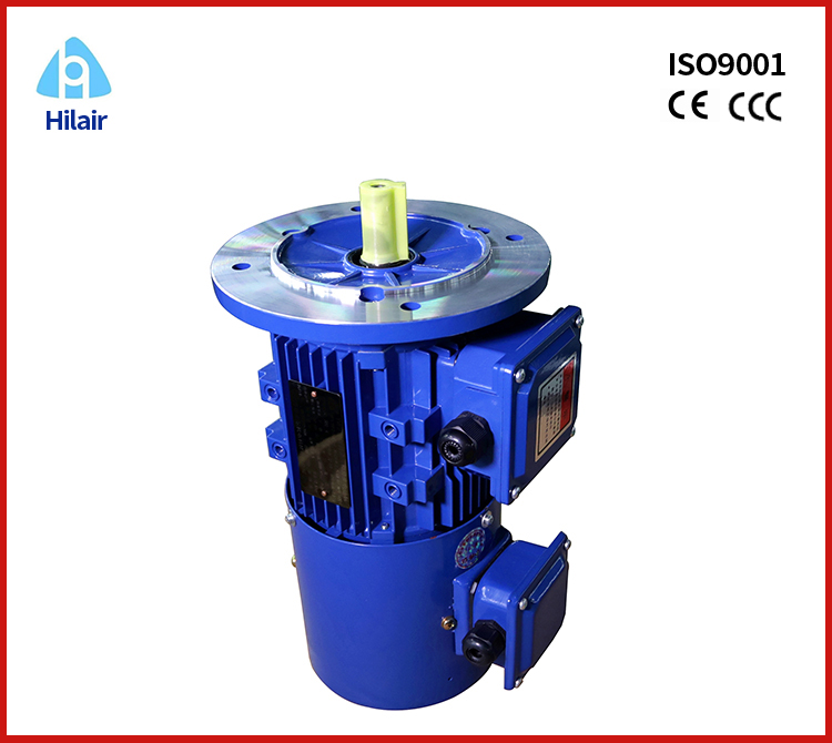 Frequecy Conversion Adjustable Speed asynchronous Motor