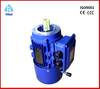 3 phase permanent magnet motor