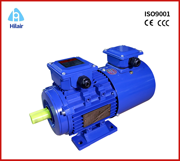 Adjustable Speed 3 phase Motor