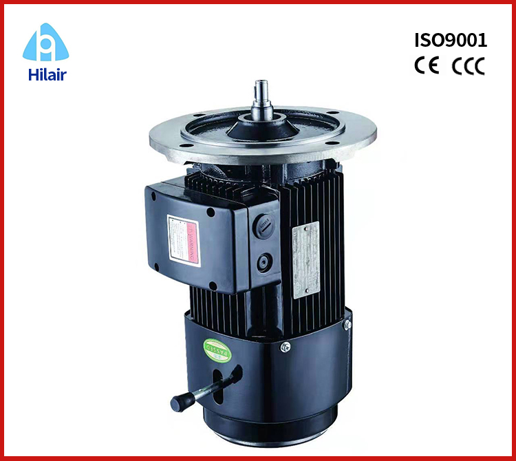 Reducer Motor