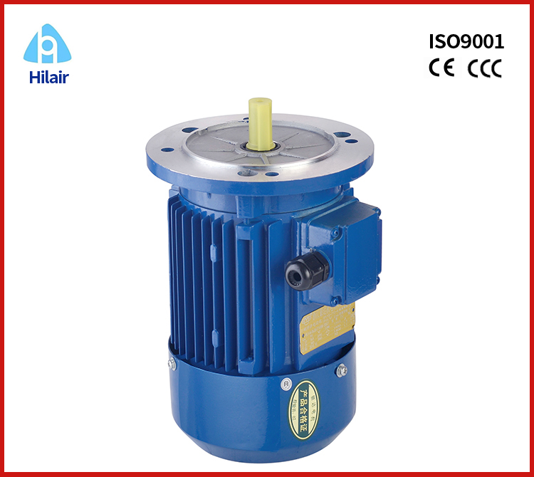 Aluminum Housing Asynchronous Motor