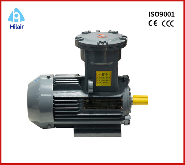 Explosion Proof Motor