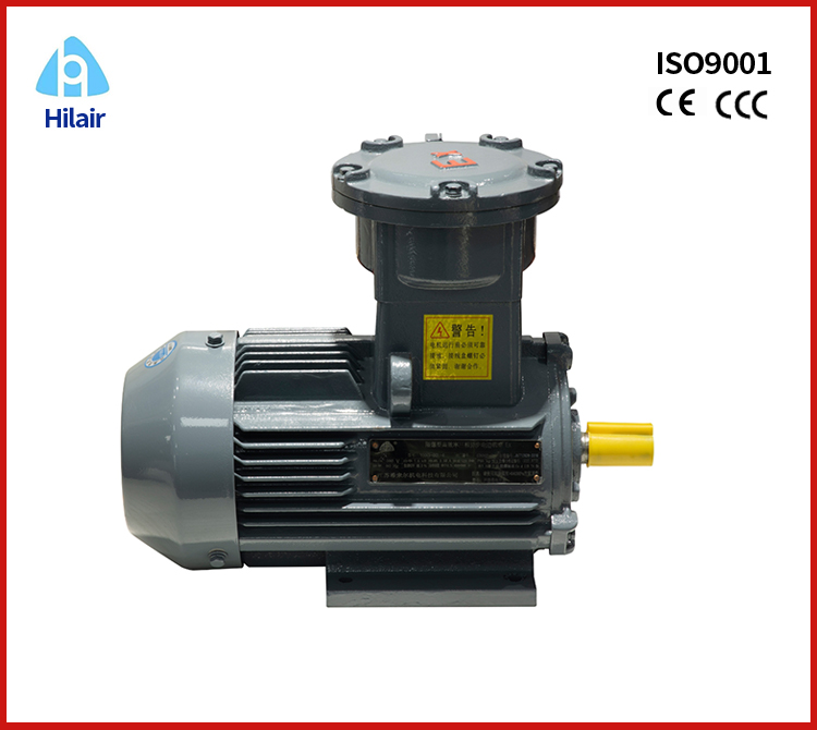 Explosion Proof Motor