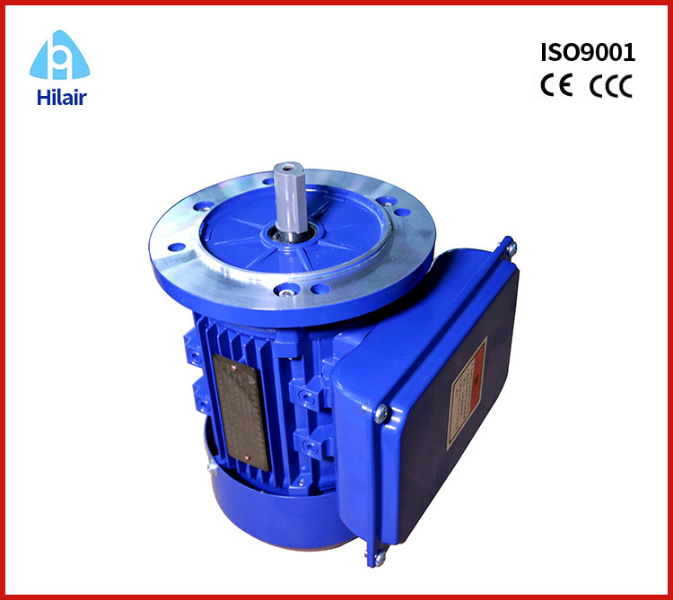 capacitor run and capacitor start motor