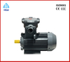 Explosion Proof Motor