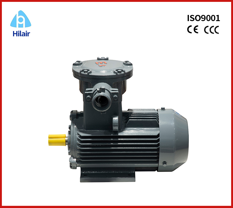 Explosion Proof Motor