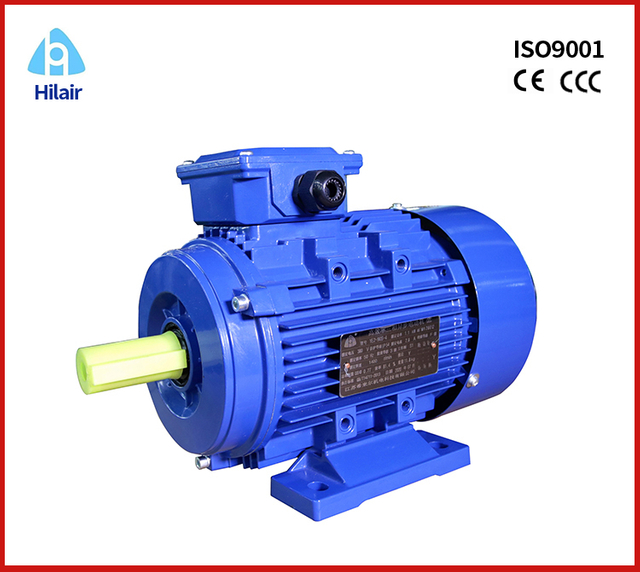1 kw three phase motor