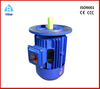 Three Phase Induction AC Asynchronous Motor