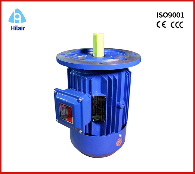 Three Phase Induction AC Asynchronous Motor