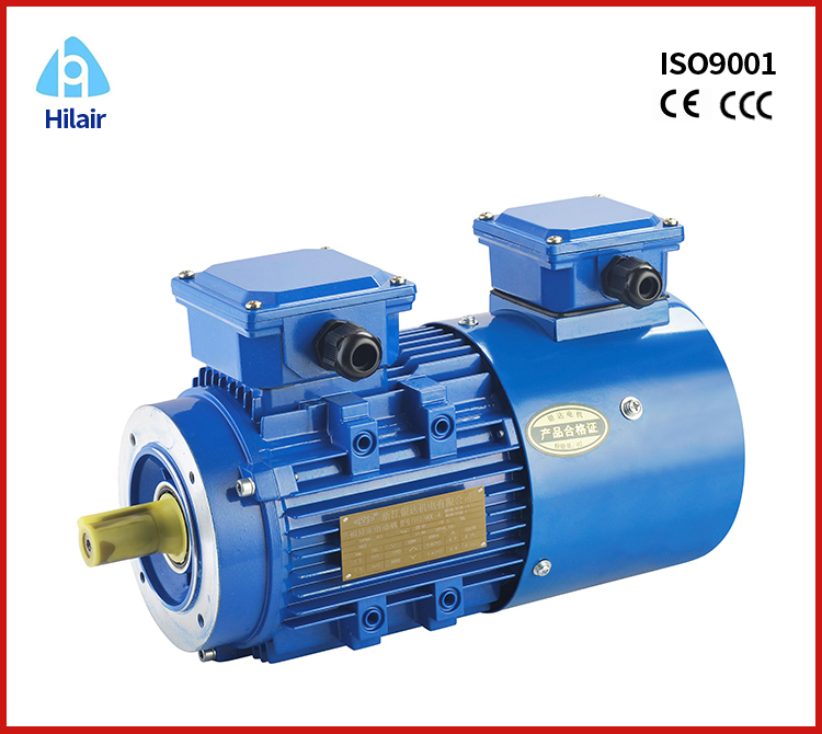Multispeed Three Phase Motor 