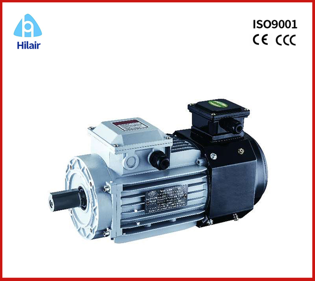 Frequecy Conversion 3 phase Motor