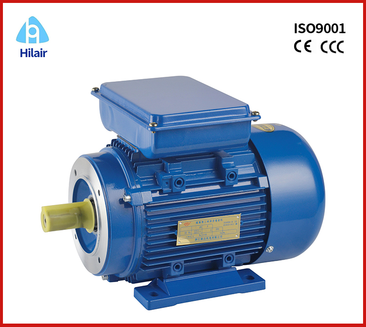 induction start induction run motor