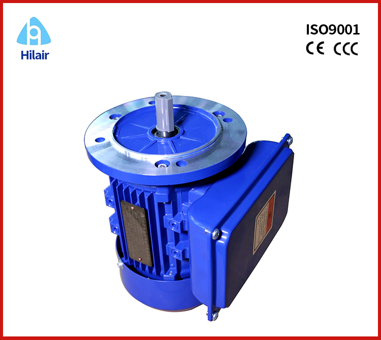 capacitor start and run motors