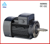 water pump 3 phase Asynchronous motor