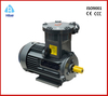 Explosion Proof Motor