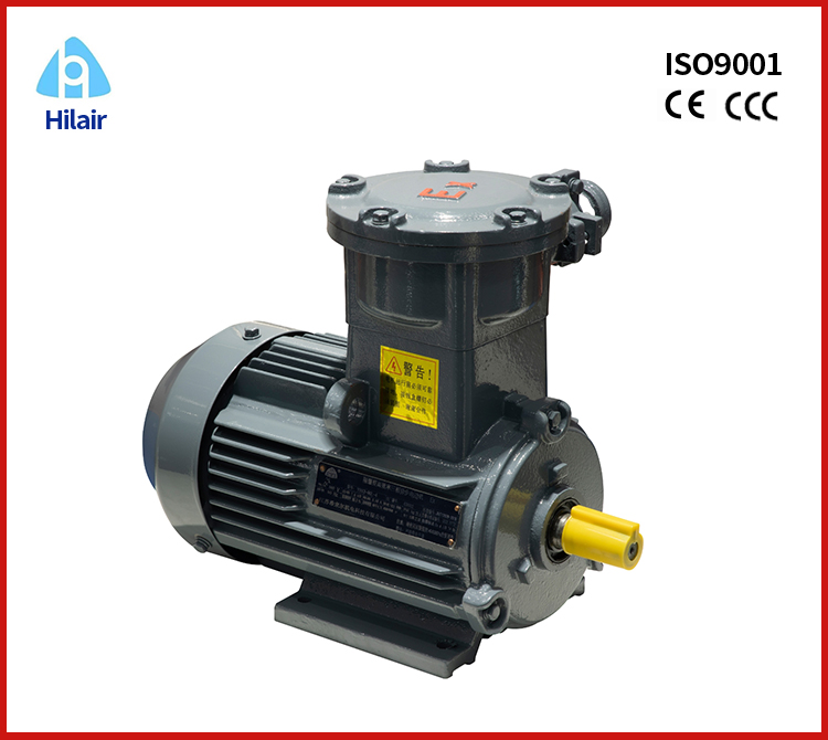 Explosion Proof Motor