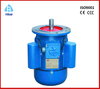 single phase induction motor with capacitor