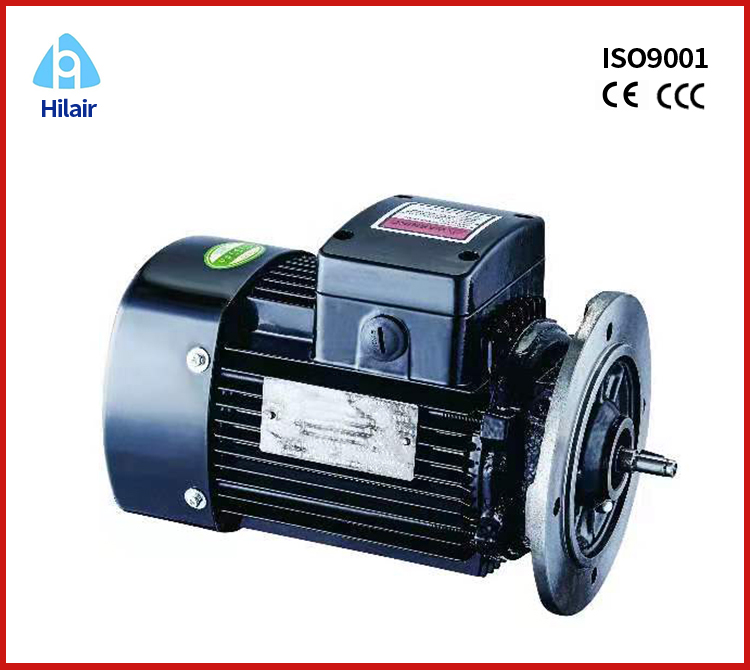 Industrial 3 Phase Motor for reducers