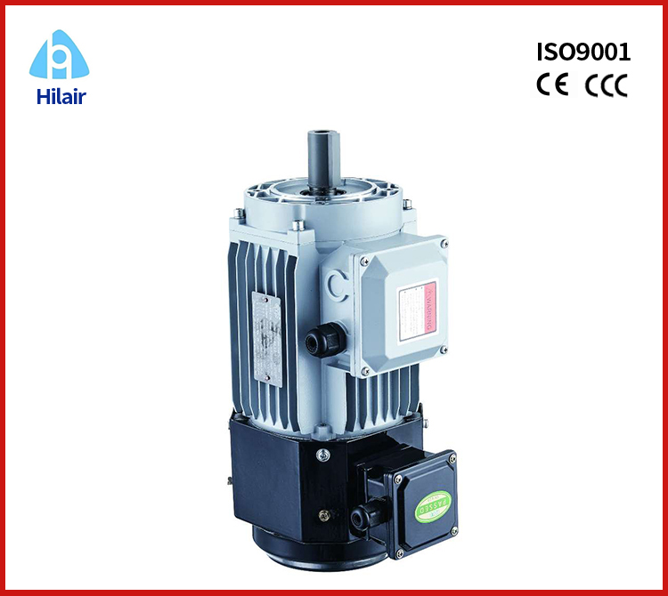 Frequency Adjustable Speed 3 phase Motor