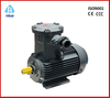 Explosion Proof Motor