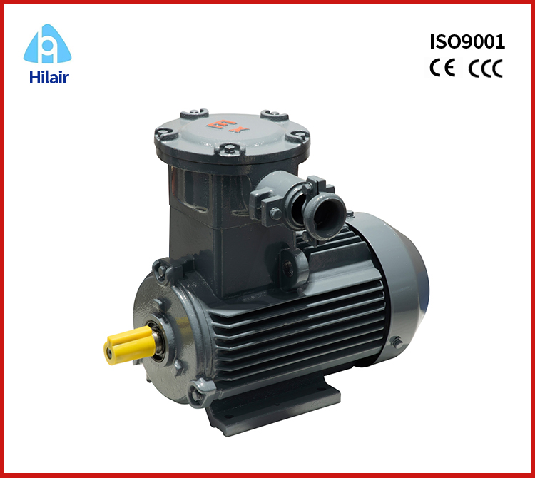 Explosion Proof Motor