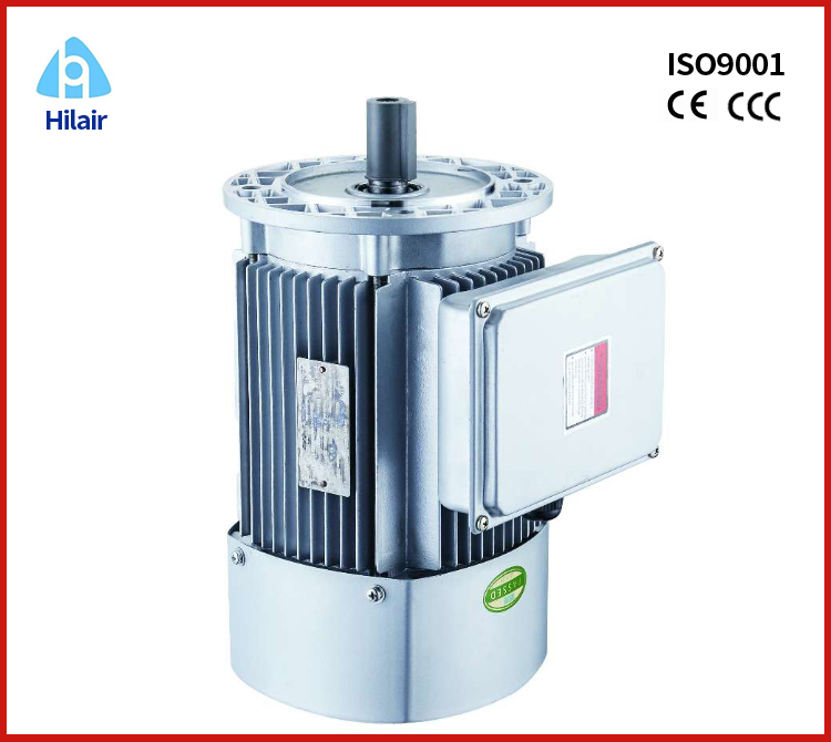 single phase ac Asynchronous electric motor