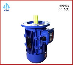 Aluminum 3 Phase AC Asynchronous Motor