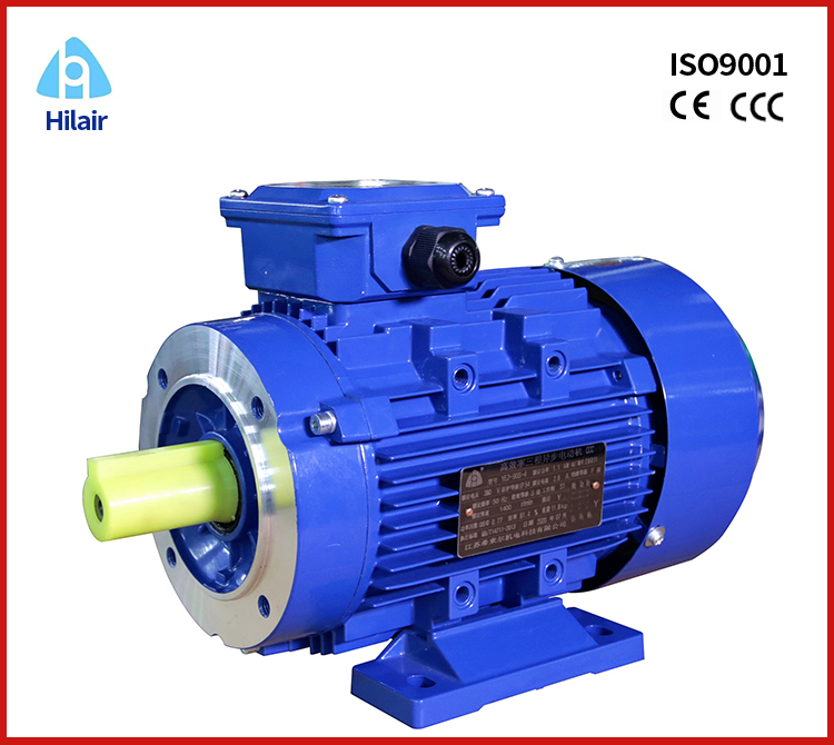 Aluminum Housing Three Phase Asynchronous Motor 