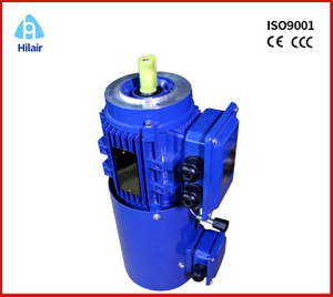 Frequecy Conversion Adjustable Speed Motor