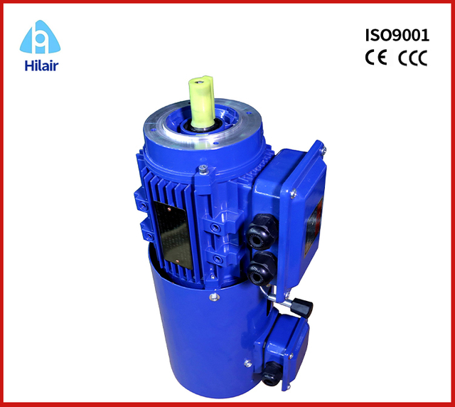 Frequecy Conversion Adjustable Speed Motor