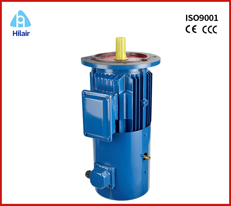 3 phase permanent magnet asynchronous motor